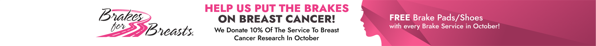 Brakes For Breasts Banner